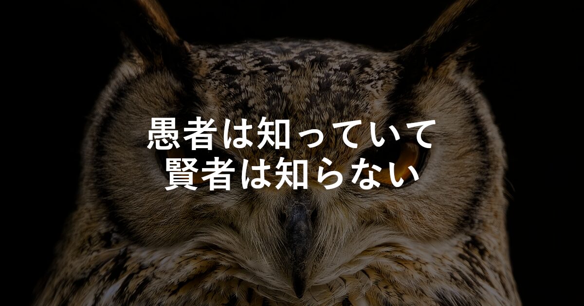 愚者は知っていて、賢者は知らない
